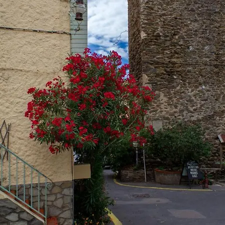 Le Studio Du Pecheur, Proche * Collioure